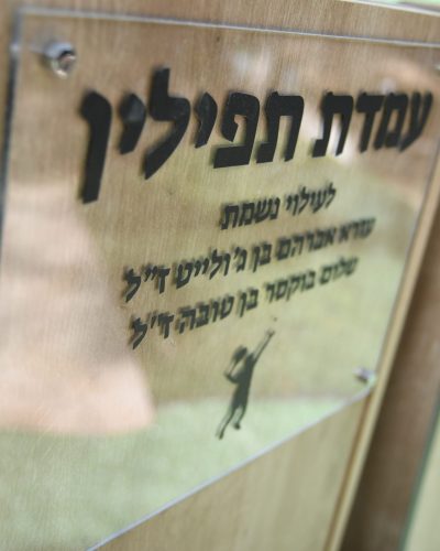 HA3_8062